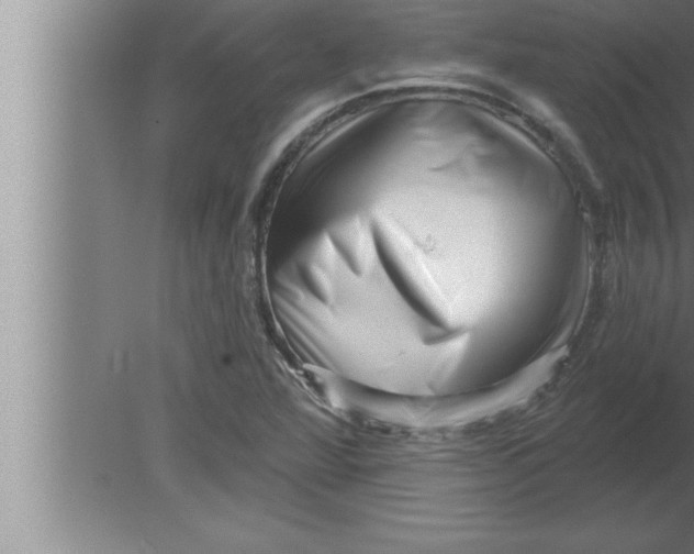 X0000080101360200612301907