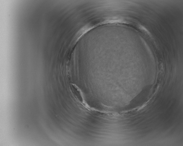 X0000080101361200612301907