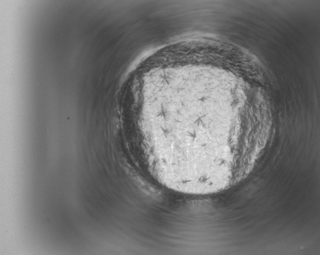 X0000080101363200612301907