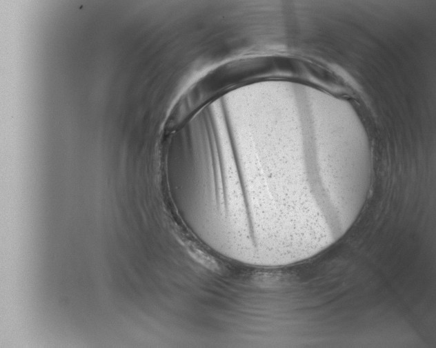 X0000080101364200612301907