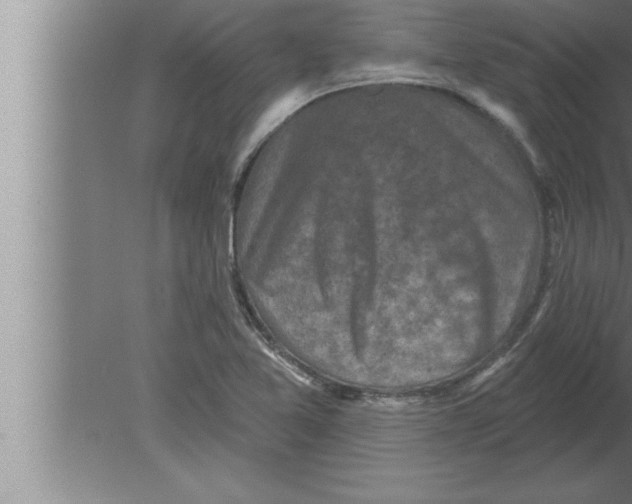 X0000080101365200612301907