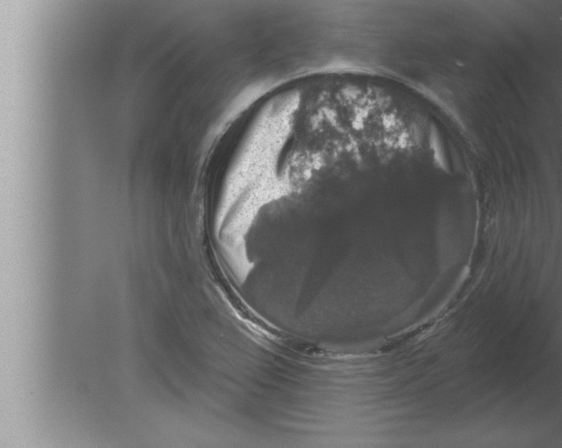 X0000080101367200612301907