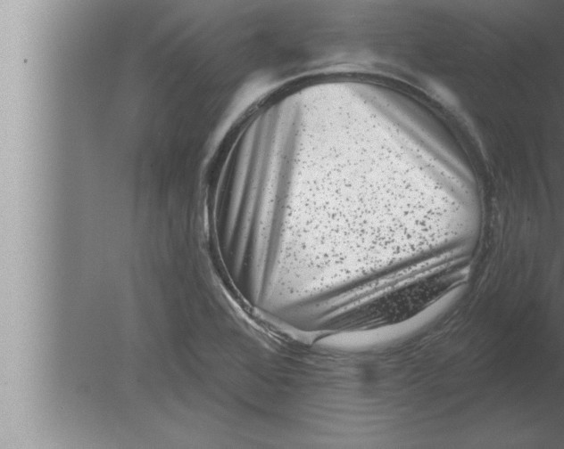 X0000080101368200612301907