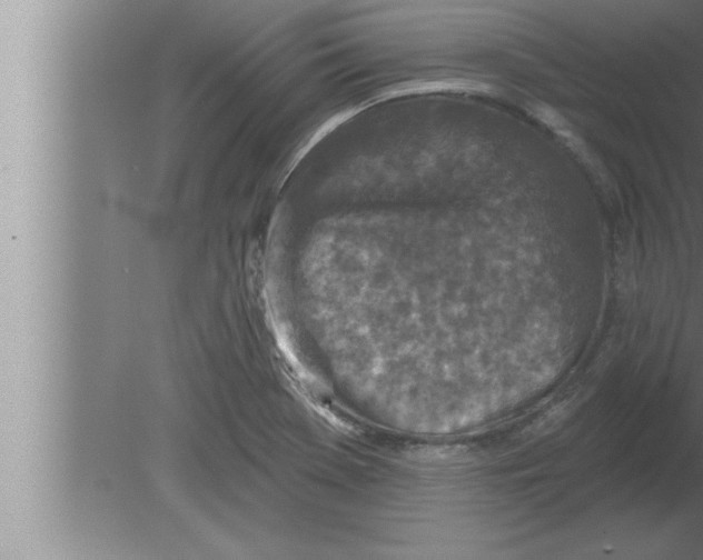 X0000080101369200612301907