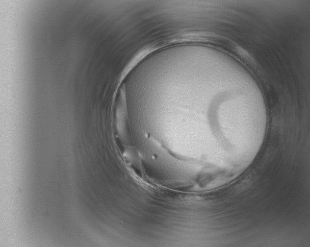 X0000080101370200612301907