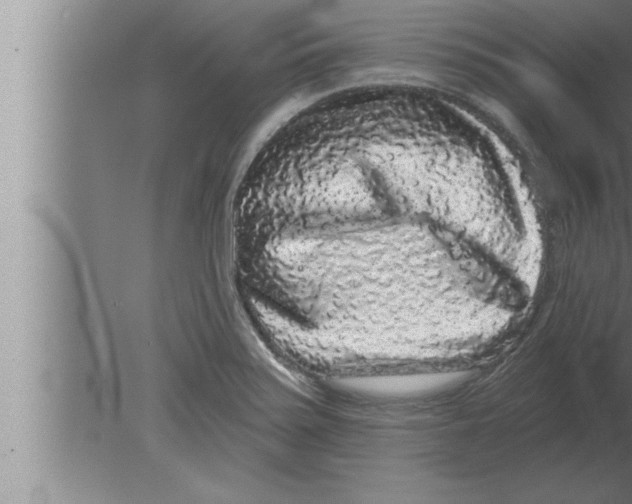 X0000080101371200612301907