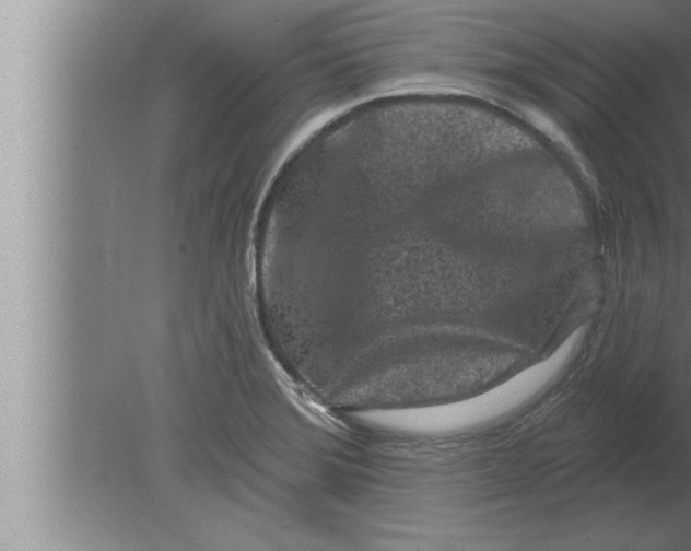 X0000080101372200612301907