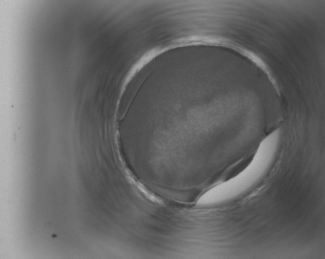 X0000080101373200612301907