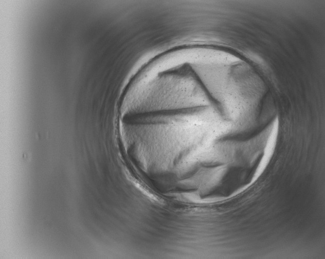 X0000080101374200612301907