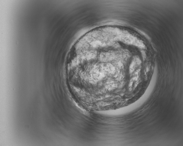 X0000080101375200612301907