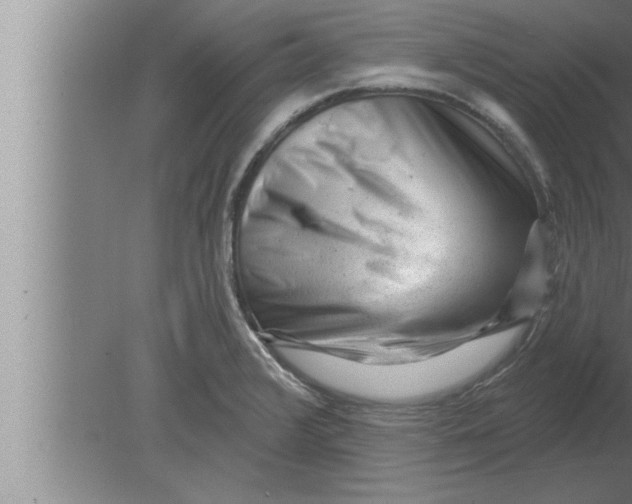 X0000080101376200612301907