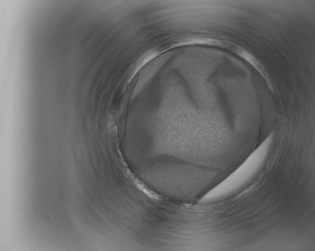 X0000080101377200612301907