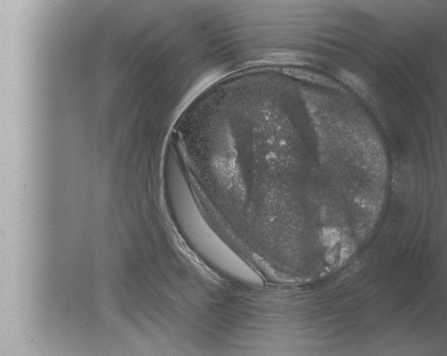 X0000080101378200612301907