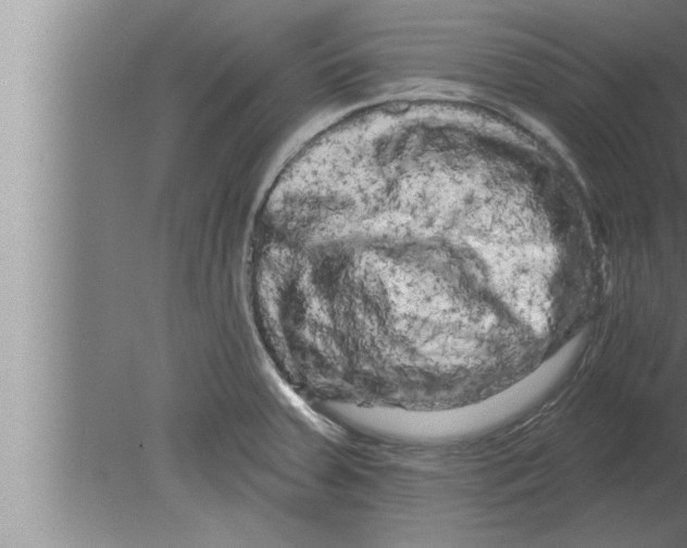 X0000080101379200612301907