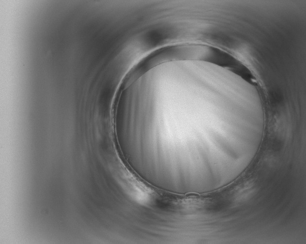 X0000080101380200612301907