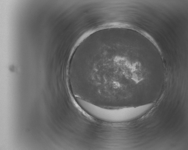 X0000080101381200612301907