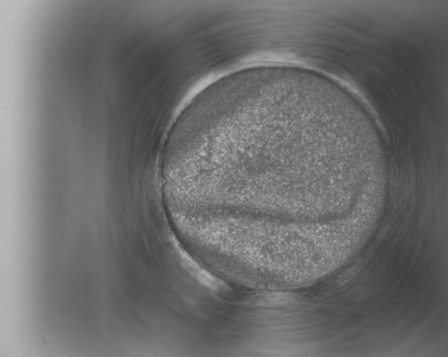 X0000080101382200612301907