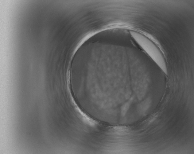 X0000080101383200612301907