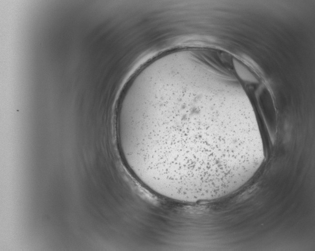 X0000080101384200612301907