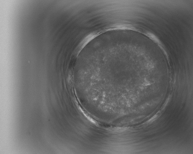 X0000080101385200612301907