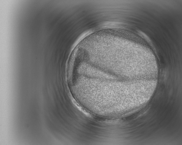 X0000080101386200612301907