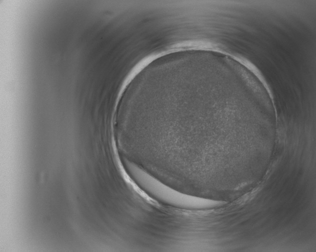 X0000080101389200612301906