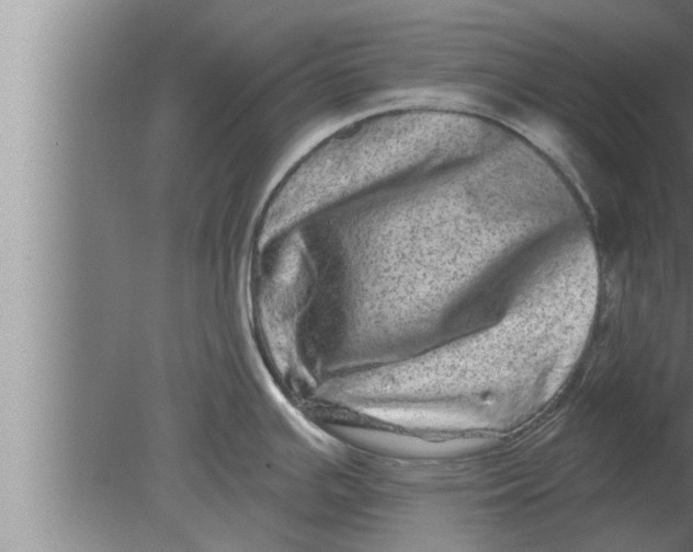 X0000080101391200612301906