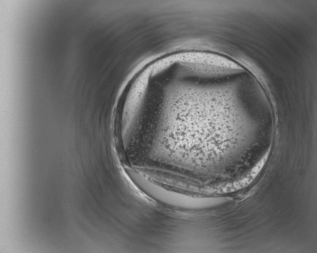 X0000080101392200612301906