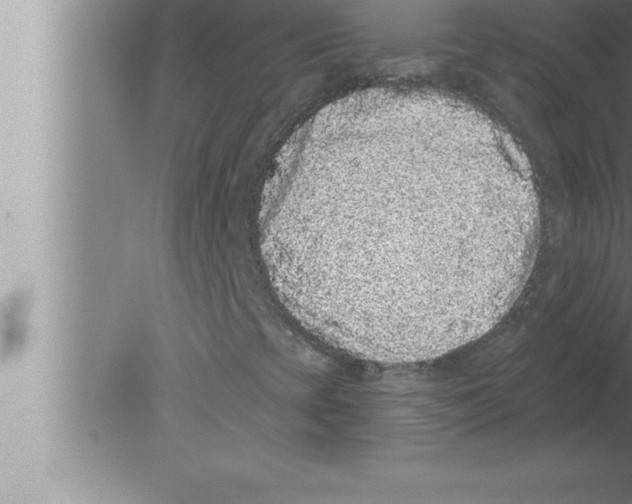 X0000080101393200612301906