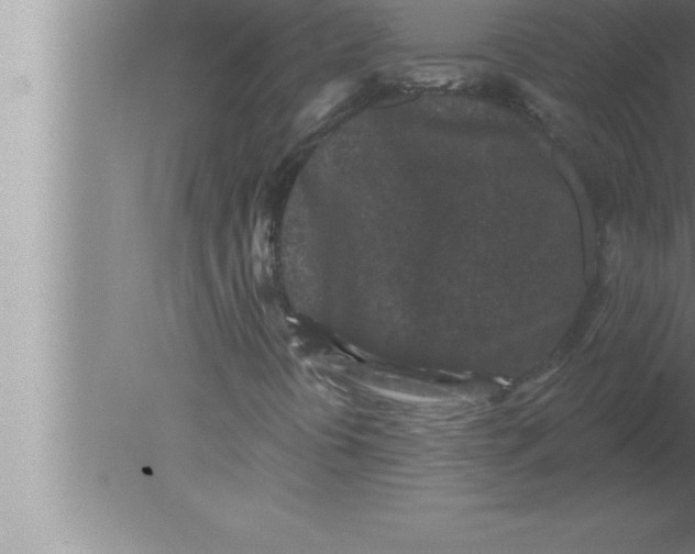 X0000080101394200612301906