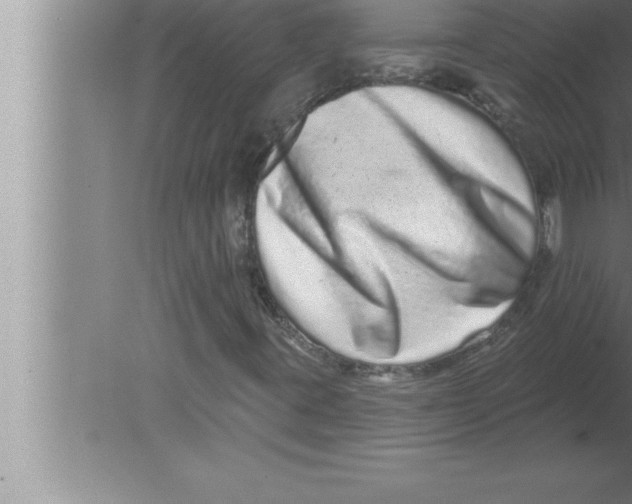 X0000080101395200612301906