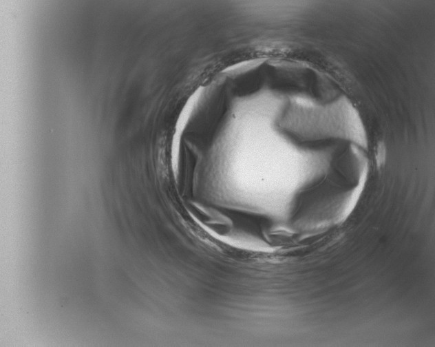 X0000080101396200612301906