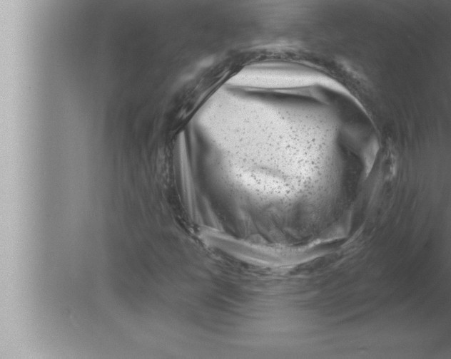 X0000080101398200612301906