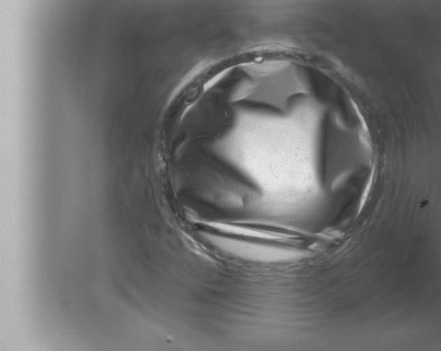 X0000080101400200612301906