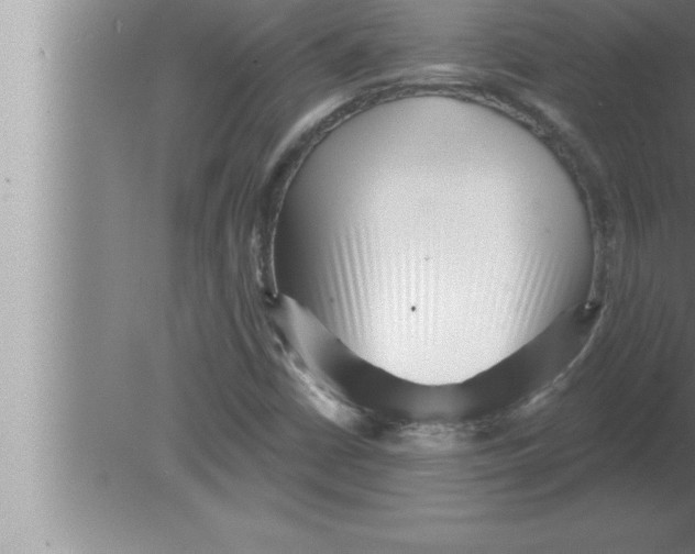 X0000080101402200612301906