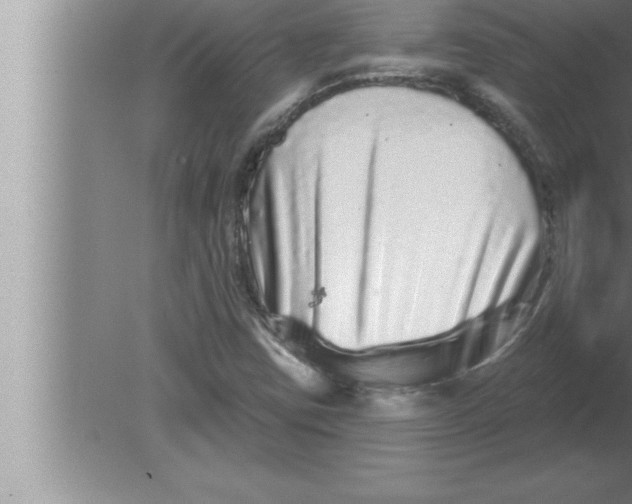 X0000080101403200612301906