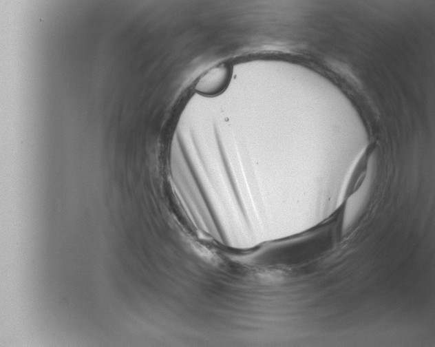 X0000080101404200612301906