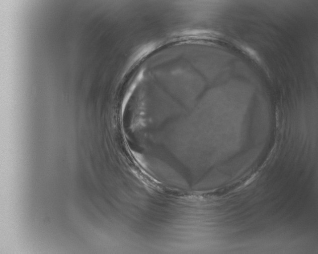 X0000080101405200612301906