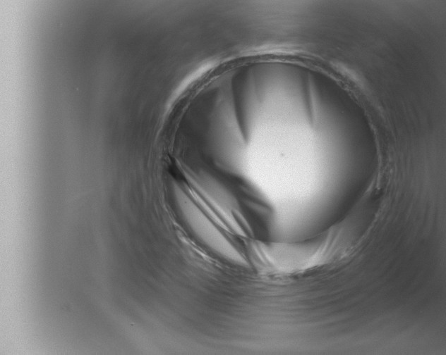 X0000080101406200612301906