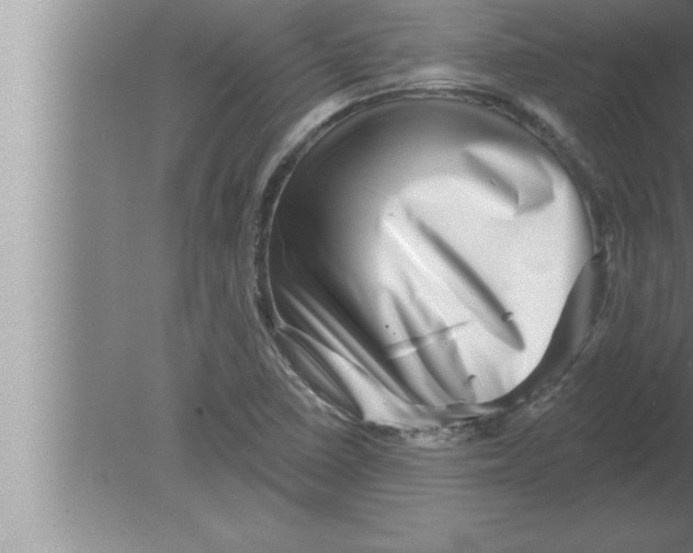 X0000080101410200612301906