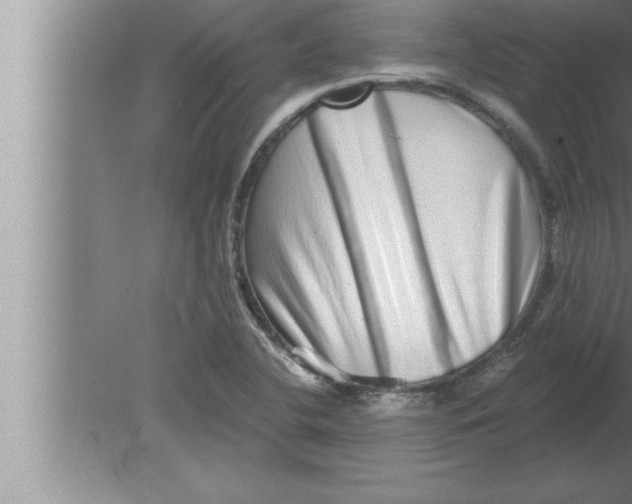 X0000080101412200612301906