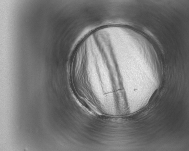 X0000080101416200612301906