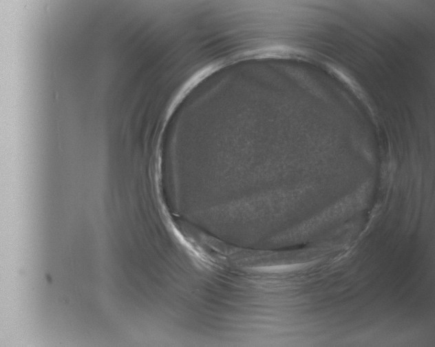 X0000080101418200612301906