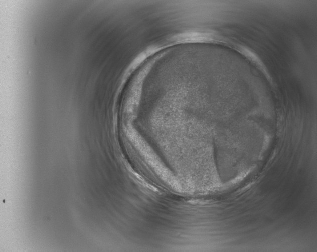 X0000080101419200612301906