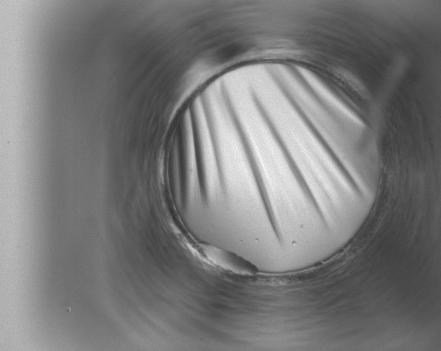 X0000080101420200612301906