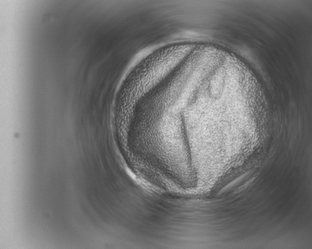 X0000080101421200612301906