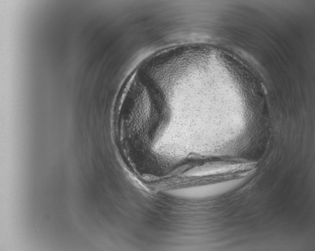 X0000080101423200612301906