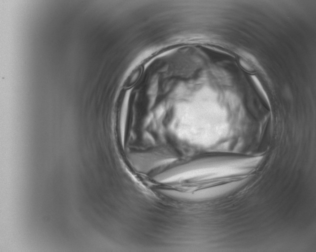 X0000080101424200612301906