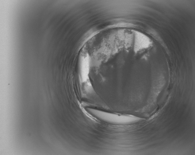 X0000080101425200612301906