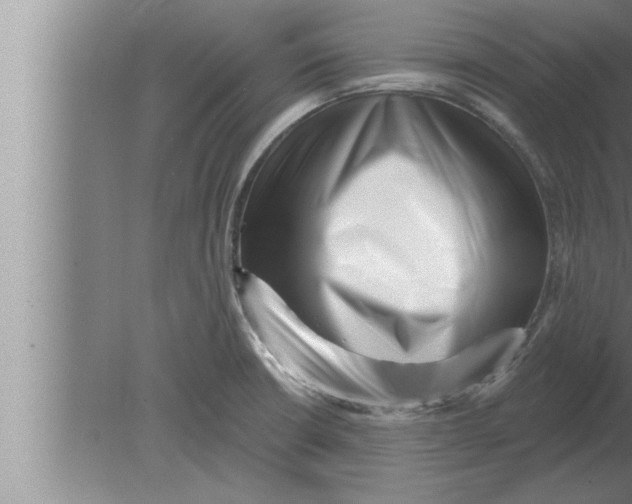 X0000080101426200612301906